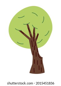tree plant forest nature icon