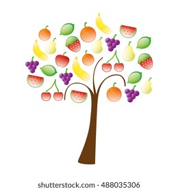 tree plant with fruits