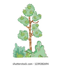 tree plant with garden