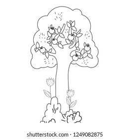 tree plant with garden