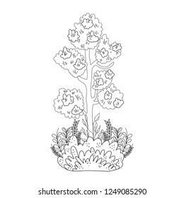 tree plant with garden