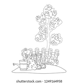 tree plant with garden and sprinkler