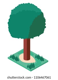 tree plant with grass isometric icon