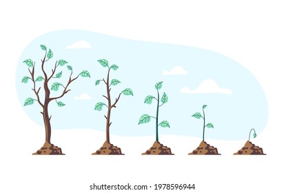 La planta de árbol se eleva por etapas del proceso de fase de periodo. Concepto de cultivo de la jardinería. Ilustración gráfica de estilo moderno de dibujos animados planos