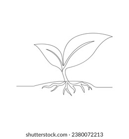 Tree plant growing and seed maturation single line art vector design 