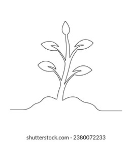 Tree plant growing and seed maturation single line art vector design 