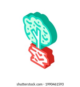 tree plant in house isometric icon vector. tree plant in house sign. isolated symbol illustration