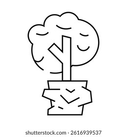 tree plant in house line icon vector. tree plant in house sign. isolated contour symbol black illustration