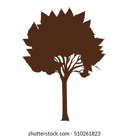 tree plant icon