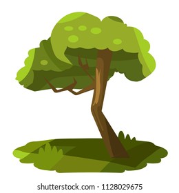 Tree plant icon over white background. Green decorative little tree isolated on white background.
