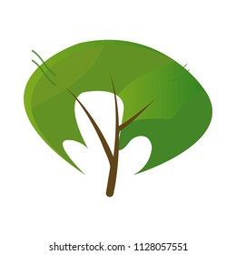 Tree plant icon over white background. Green decorative little tree isolated on white background.