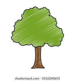 tree plant isolated icon