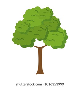 tree plant isolated icon
