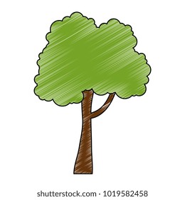 tree plant isolated icon