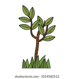 tree plant isolated icon