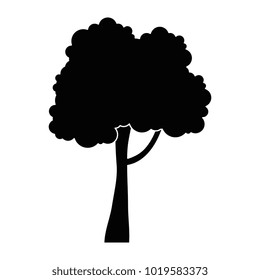 tree plant isolated icon