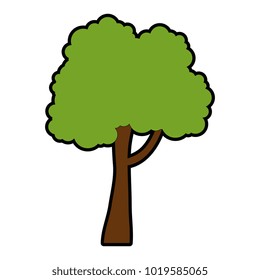 tree plant isolated icon