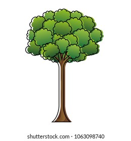 tree plant isolated icon