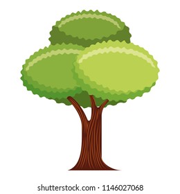 tree plant isolated icon