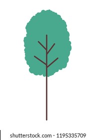 tree plant isolated icon