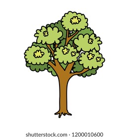 tree plant isolated icon
