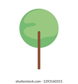 tree plant isolated icon