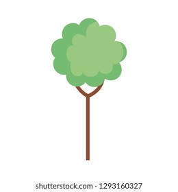 tree plant isolated icon