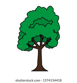 tree plant isolated icon