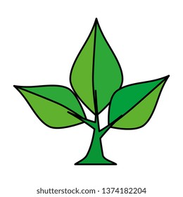 tree plant isolated icon