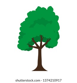 tree plant isolated icon