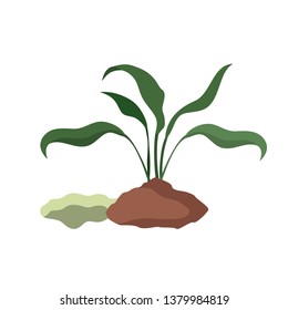 tree to plant isolated icon
