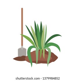 tree to plant isolated icon