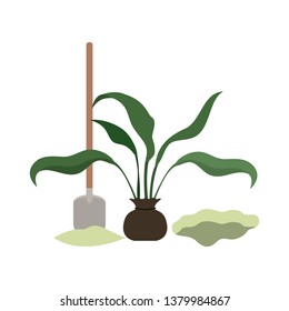 tree to plant isolated icon