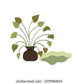 tree to plant isolated icon