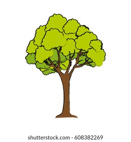 tree plant isolated icon
