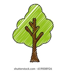 tree plant isolated icon