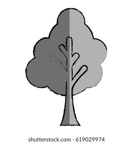 tree plant isolated icon