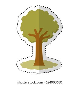 tree plant isolated icon