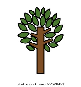 tree plant isolated icon