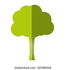 tree plant isolated icon