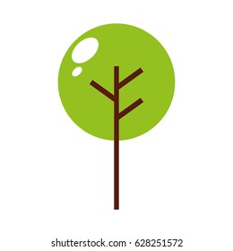 tree plant isolated icon