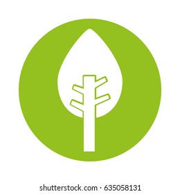 tree plant isolated icon