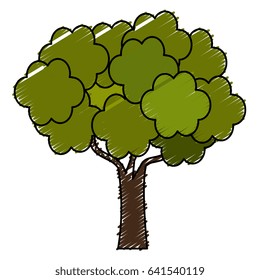 tree plant isolated icon