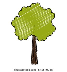 tree plant isolated icon