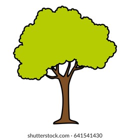 tree plant isolated icon
