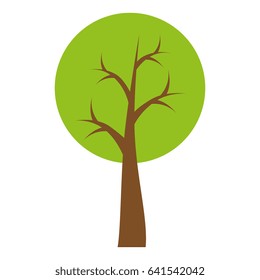 tree plant isolated icon