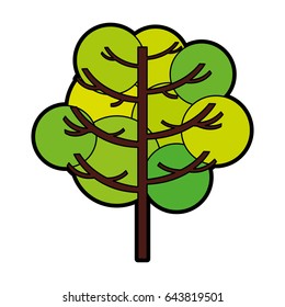 tree plant isolated icon
