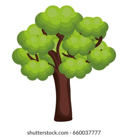 tree plant isolated icon