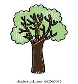 tree plant isolated icon