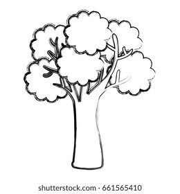 tree plant isolated icon